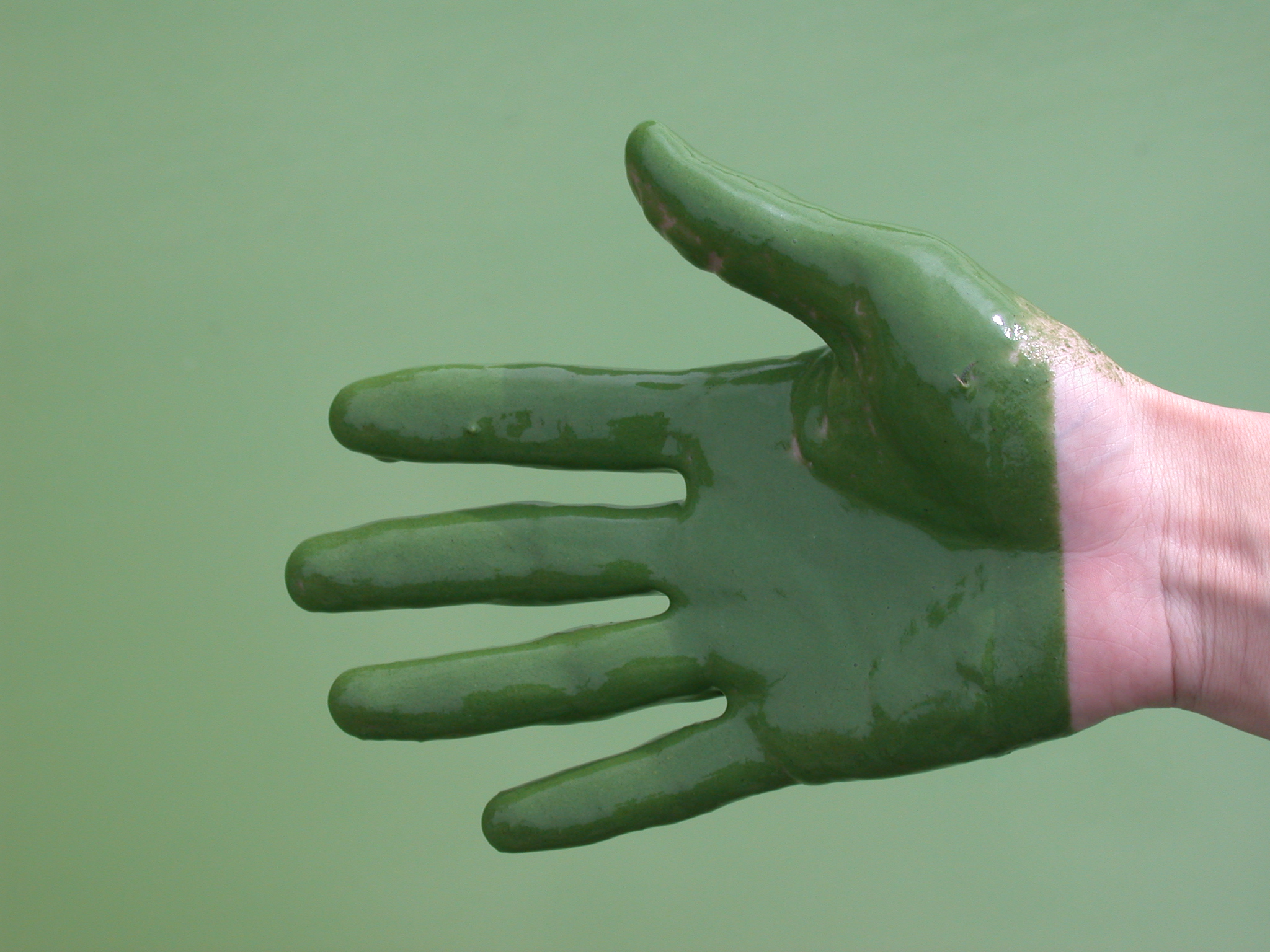  p> b>微囊藻 /b>(学名: i>microcystis /i>