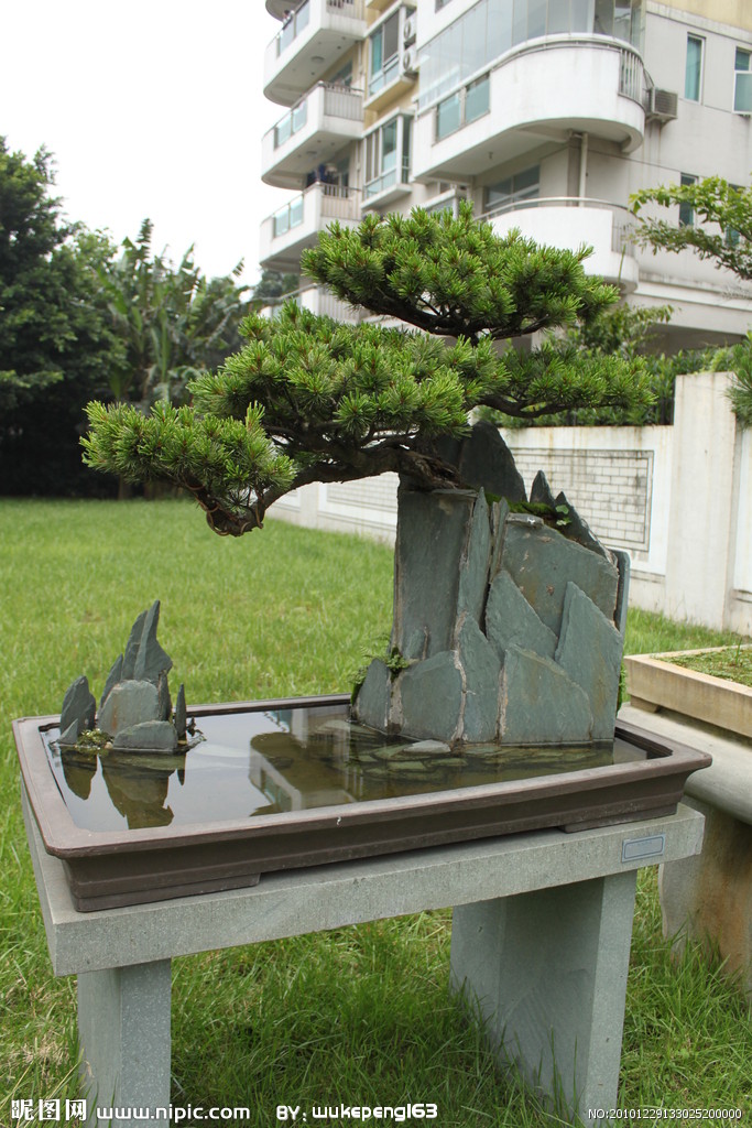 树石盆景