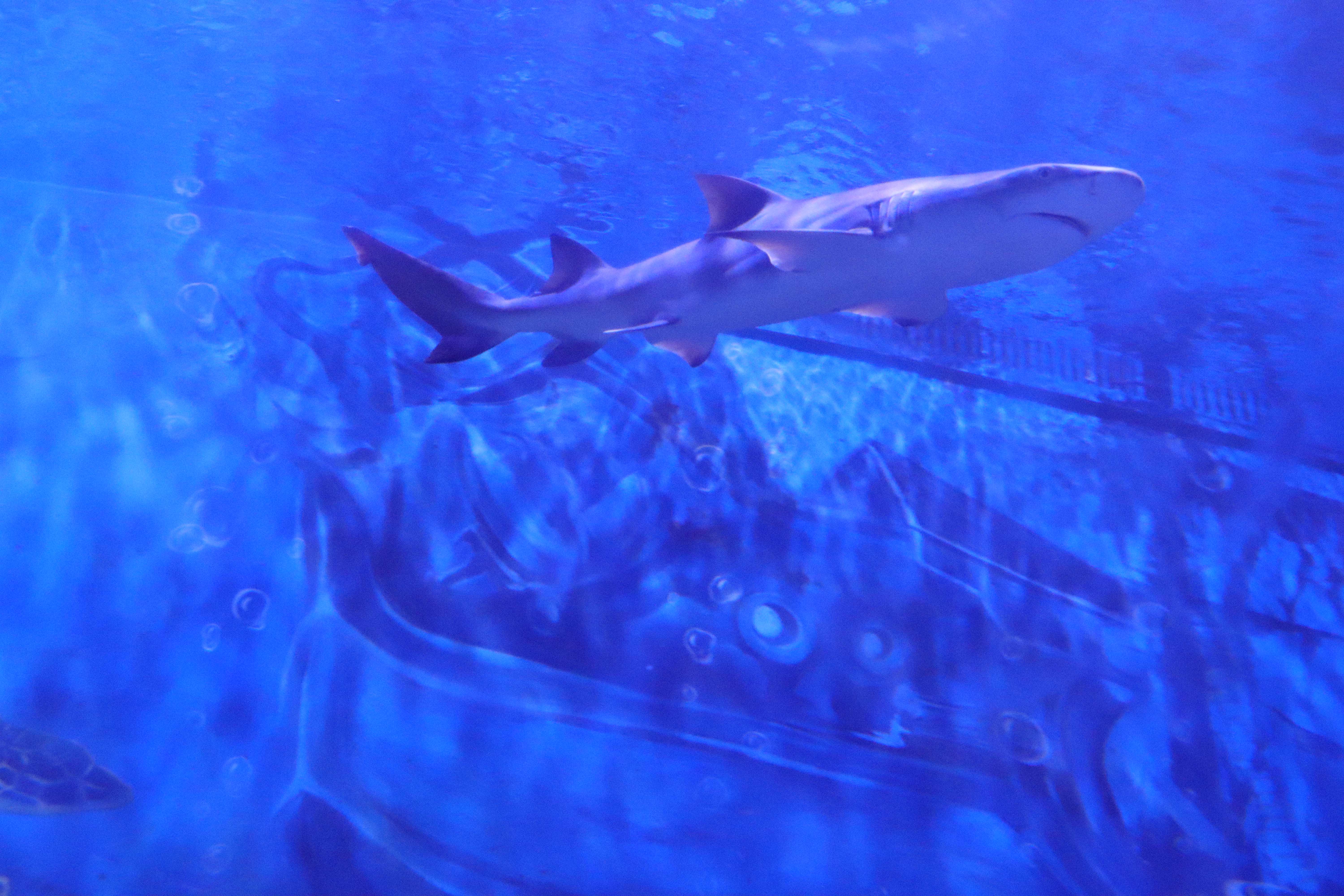 扬州极地海洋世界