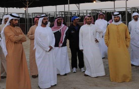 皇室,迪拜 a href="#" data-lemmaid="1277753">酋长国 /a>,是阿联酋