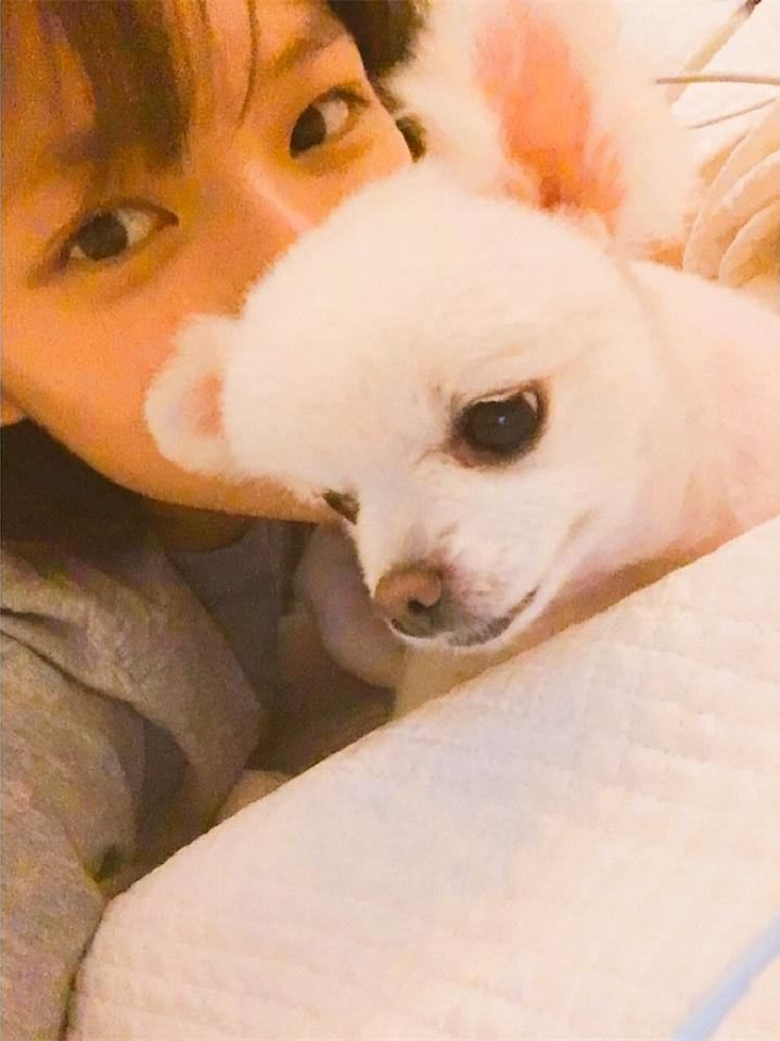  p>俞定延,1996年11月1日出生于韩国水原市,韩国女歌手,女子演唱组合 