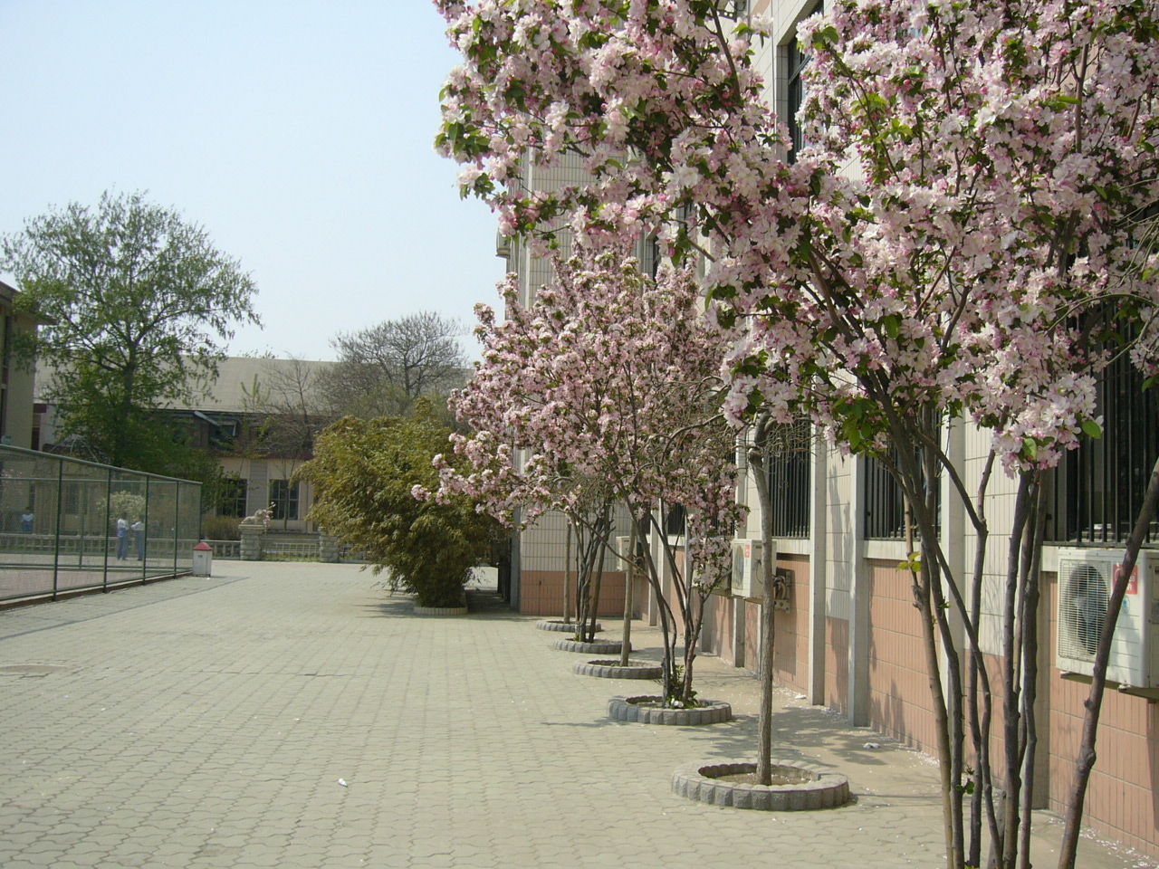  p>天津市第七中学始建于1951年,是天津市首批重点中学,天津市高中