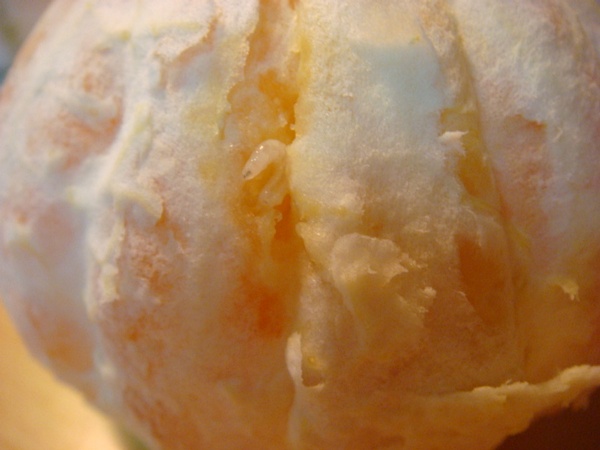 被害果称"蛆果","蛆柑",是国际国内 a target="_blank" href="/item