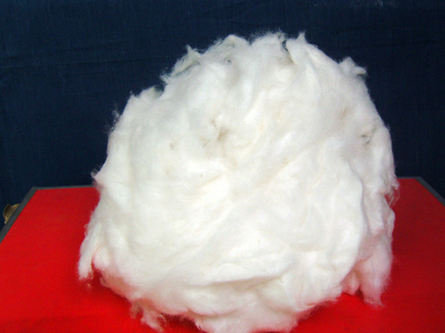 敦煌罗布麻综合开发中心