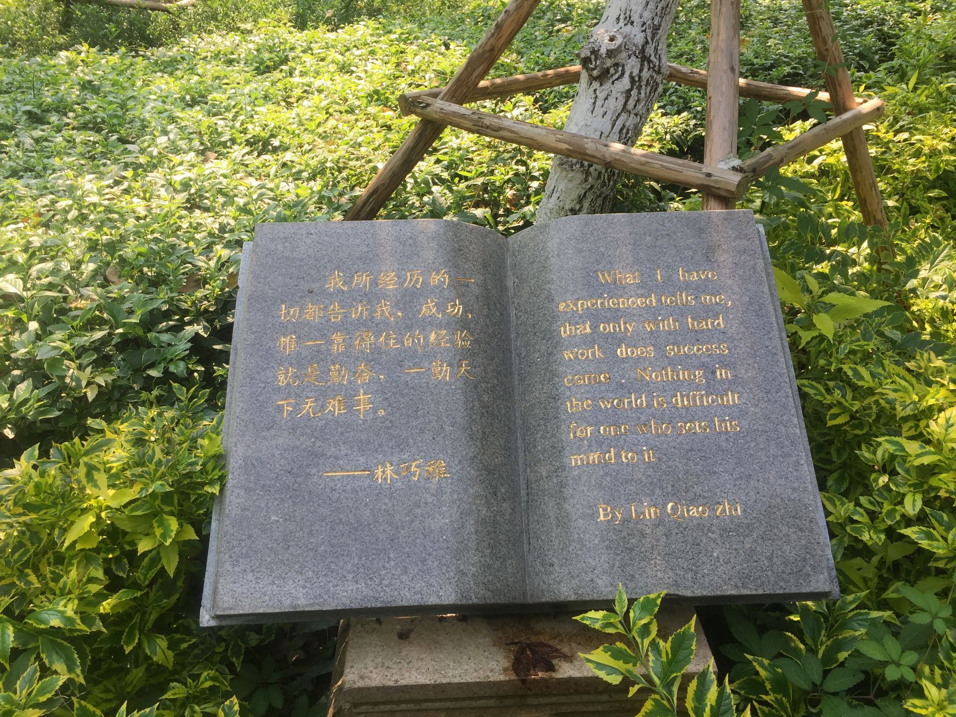 ">福建省 /a> a target="_blank" href="/item/厦门鼓浪屿/2118075"