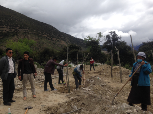  p data-id="gn3ptq3f7l">吞白村是西藏自治区林芝市米林县派镇辖村.