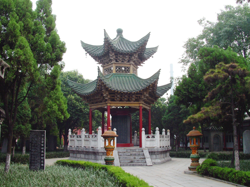  p data-id="gnx0gu01t6">张仲景博物馆(即: a target="_blank" href=