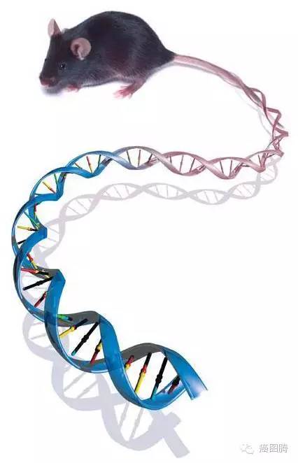 生命从何而来？——分子水平的进化_百科TA说