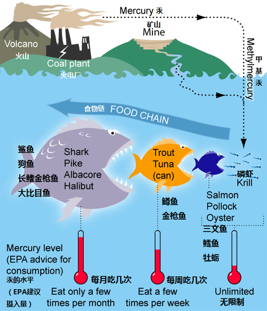 伊拉克麦粒汞中毒事件——祸从口入_百科TA说