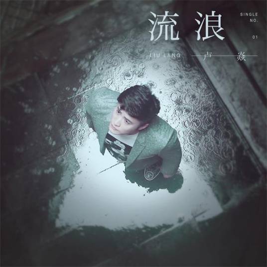 流浪（2017年卢焱演唱歌曲）_百度百科