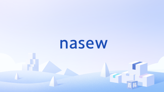 nasew_百度百科