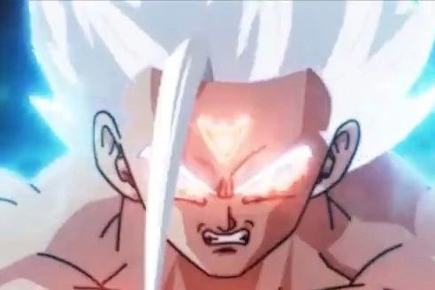 形态(注:孙悟空( a target="_blank" href="/item/卡卡罗特/640748"