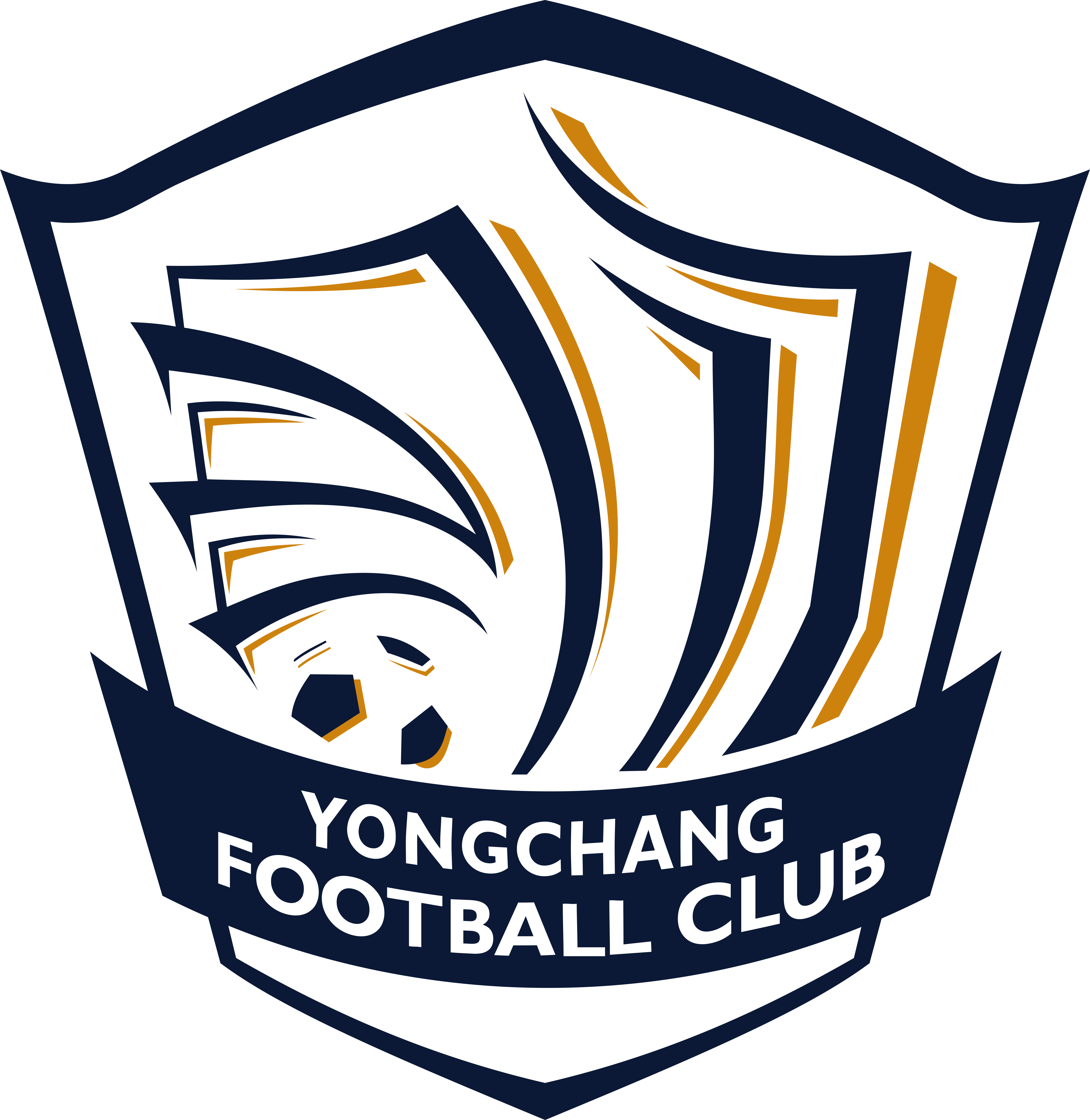  p>沧州雄狮足球俱乐部(cangzhou mighty lions football club),是一