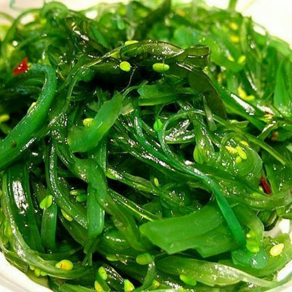 裙带菜
