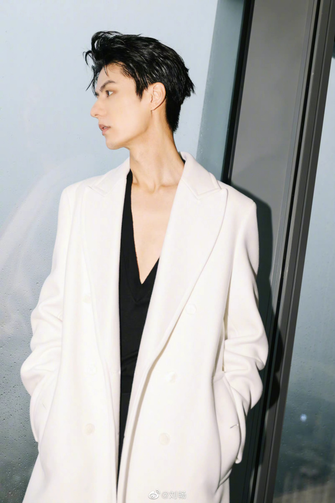 刘畅（中国内地男演员、模特）_百度百科