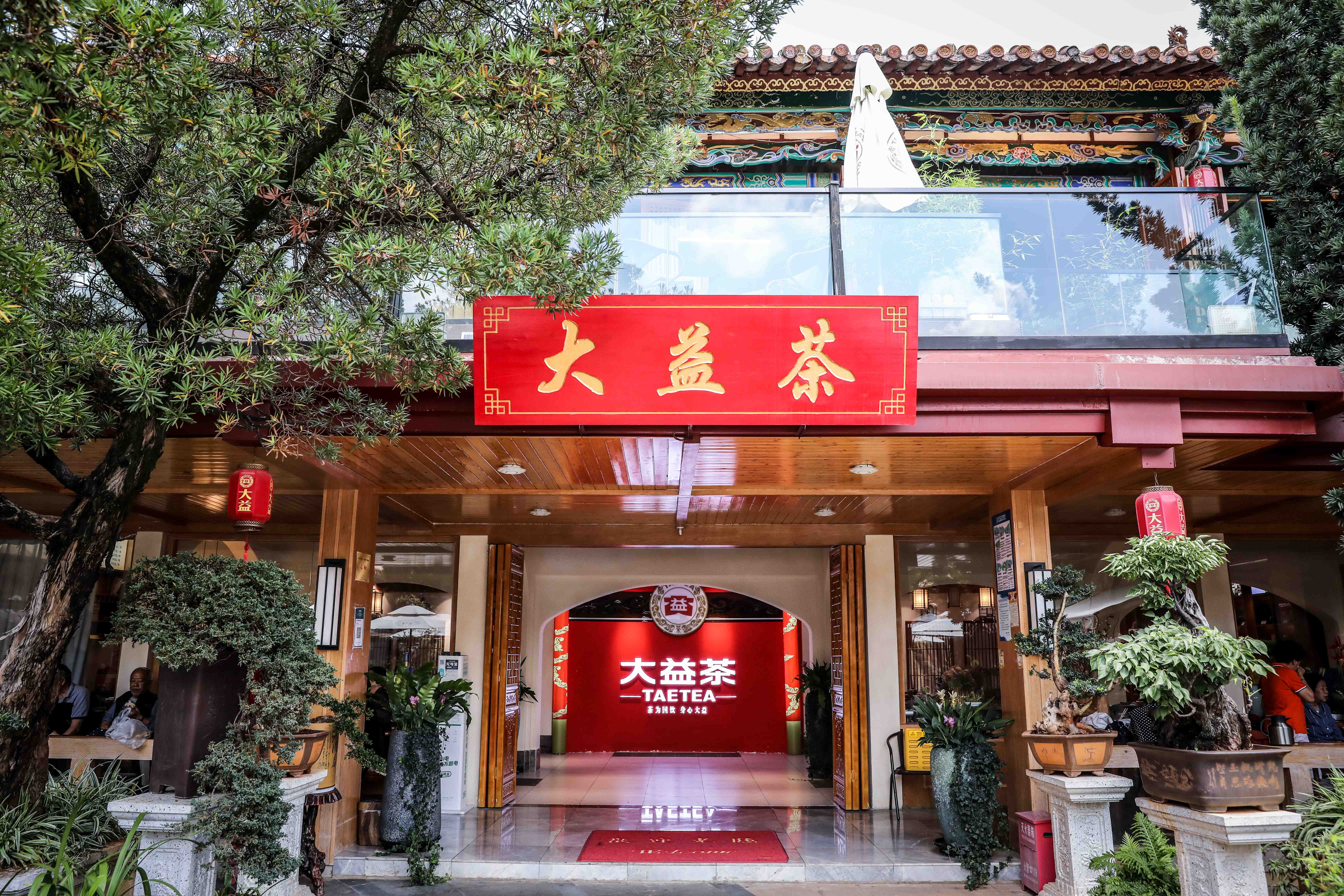 大益集团 全网资源