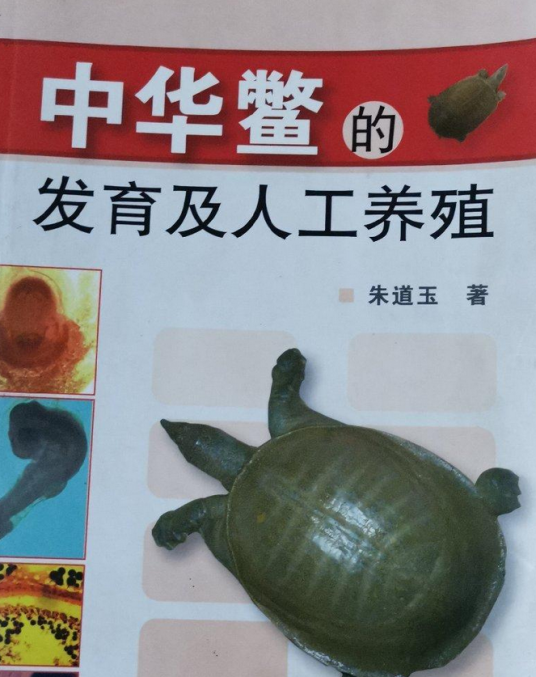 中华鳖的发育及人工养殖_百度百科