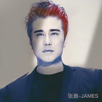 张巍（中国内地男歌手）_百度百科