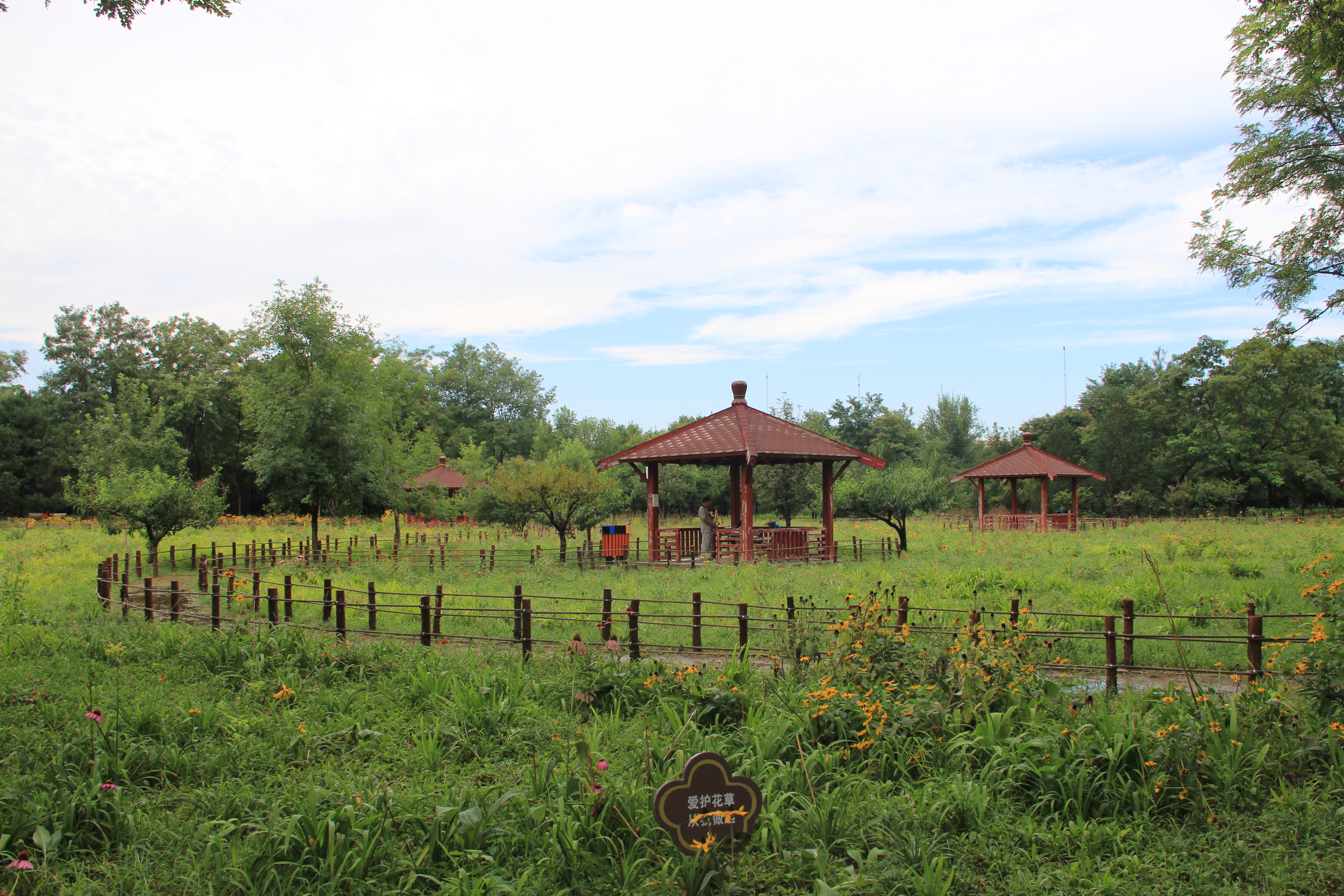 a9">东坝郊野公园位于 a target="_blank" href="/item/朝阳区/2134"