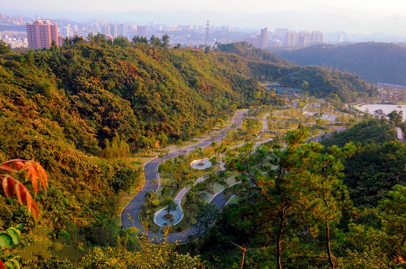 data-lemmaid="16896">广安 /a>市前锋区桂兴镇四方山村,地处前锋区