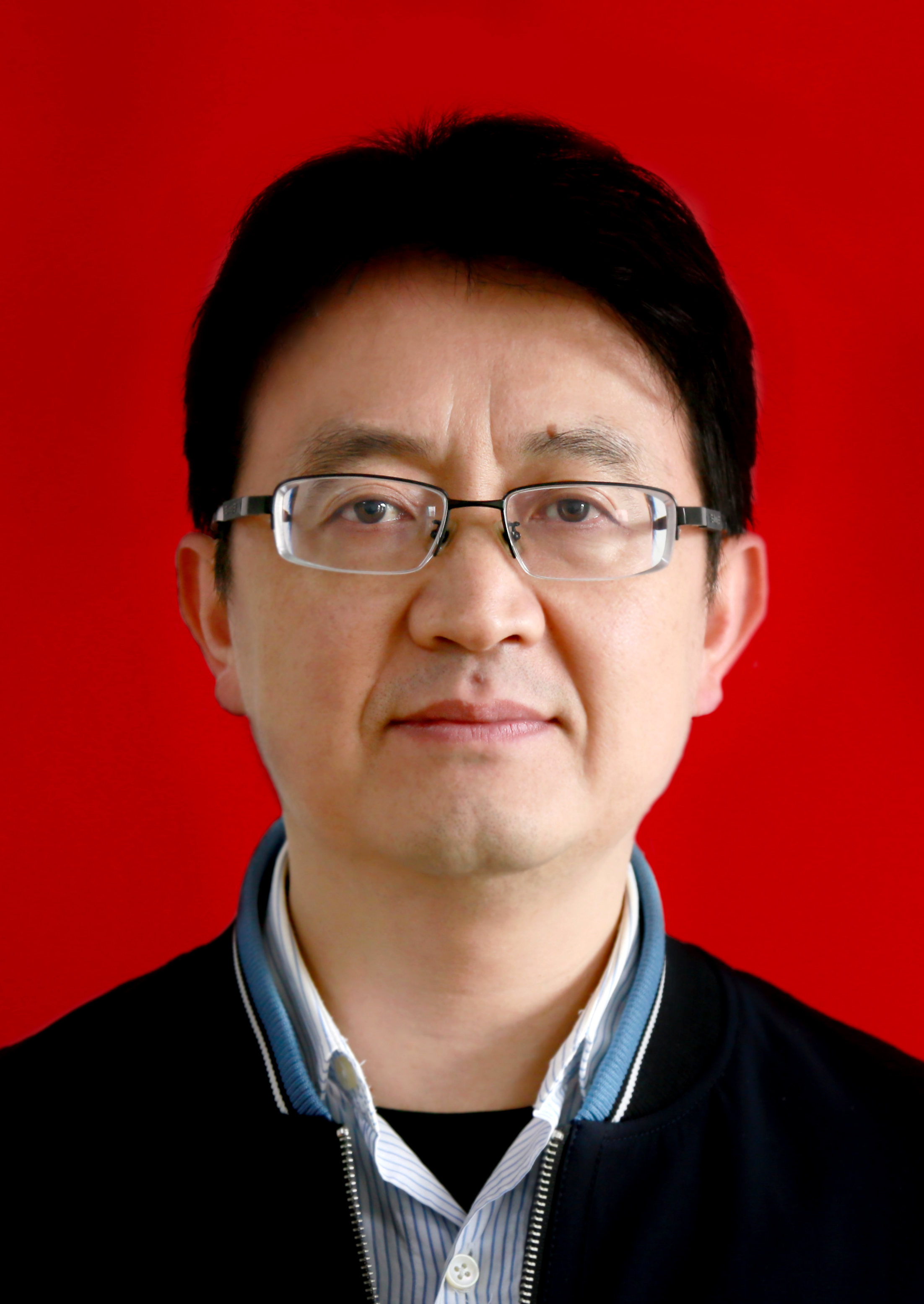 嘉,男,汉族,中共党员,1973年7月出生,1996年8月参加工作,湖南洞口人, 