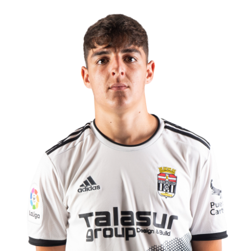 亚历杭德罗·多明戈·戈麦斯