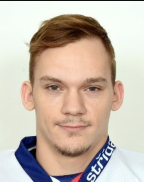  p data-id="sz6st40d7mxj">卡雷尔·瓦格纳(karel wagner),男,1998年