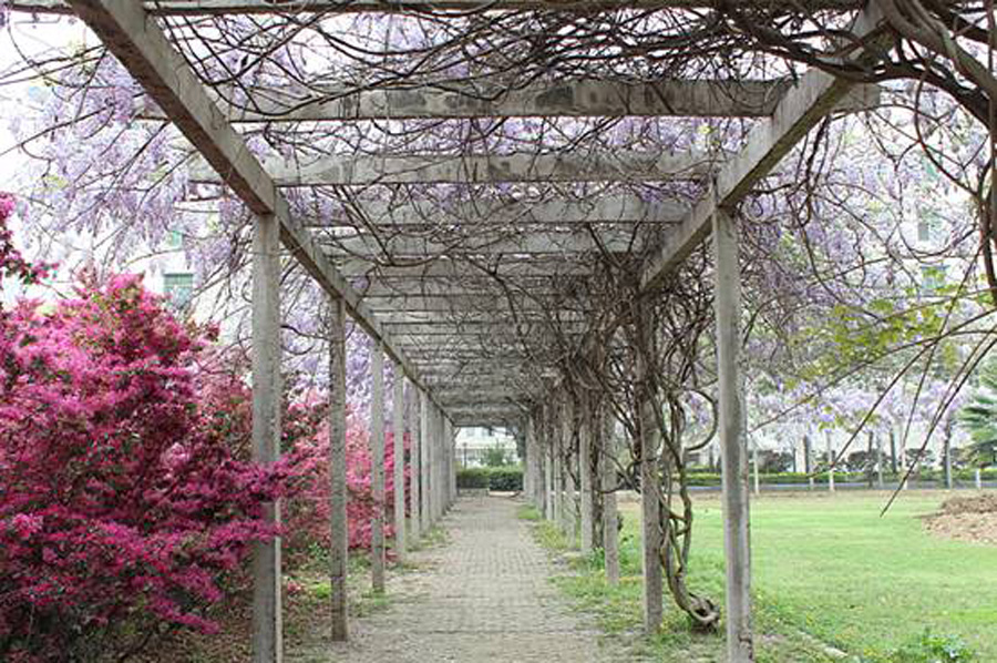 孝昌县第一高级中学