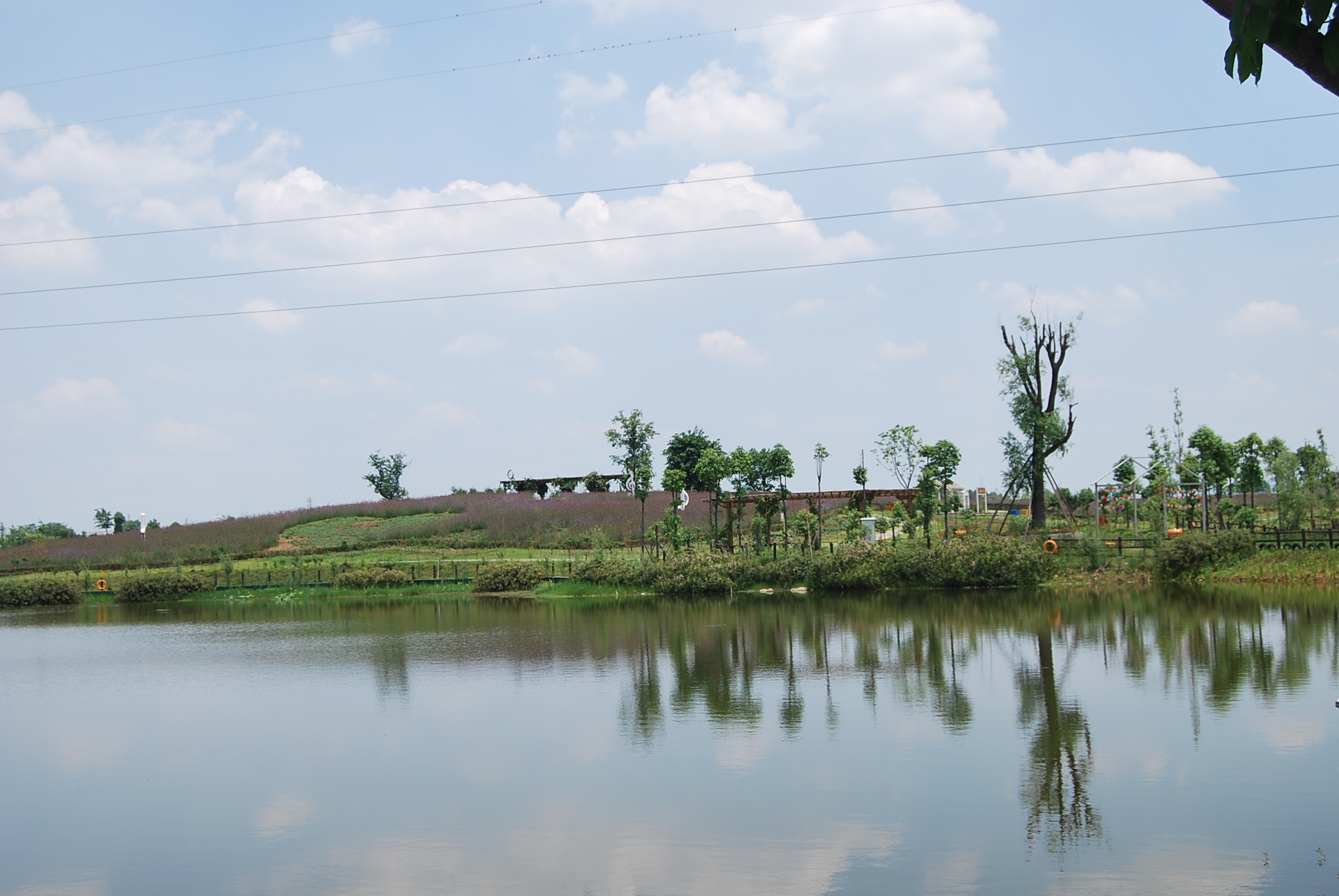  p>成都锦江区三圣乡片区景区.成都市国际熊猫灯会承办地. /p>