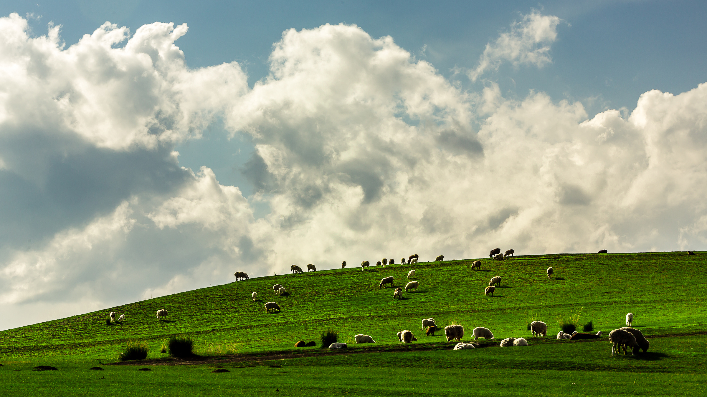 新疆霍尔果斯口岸
