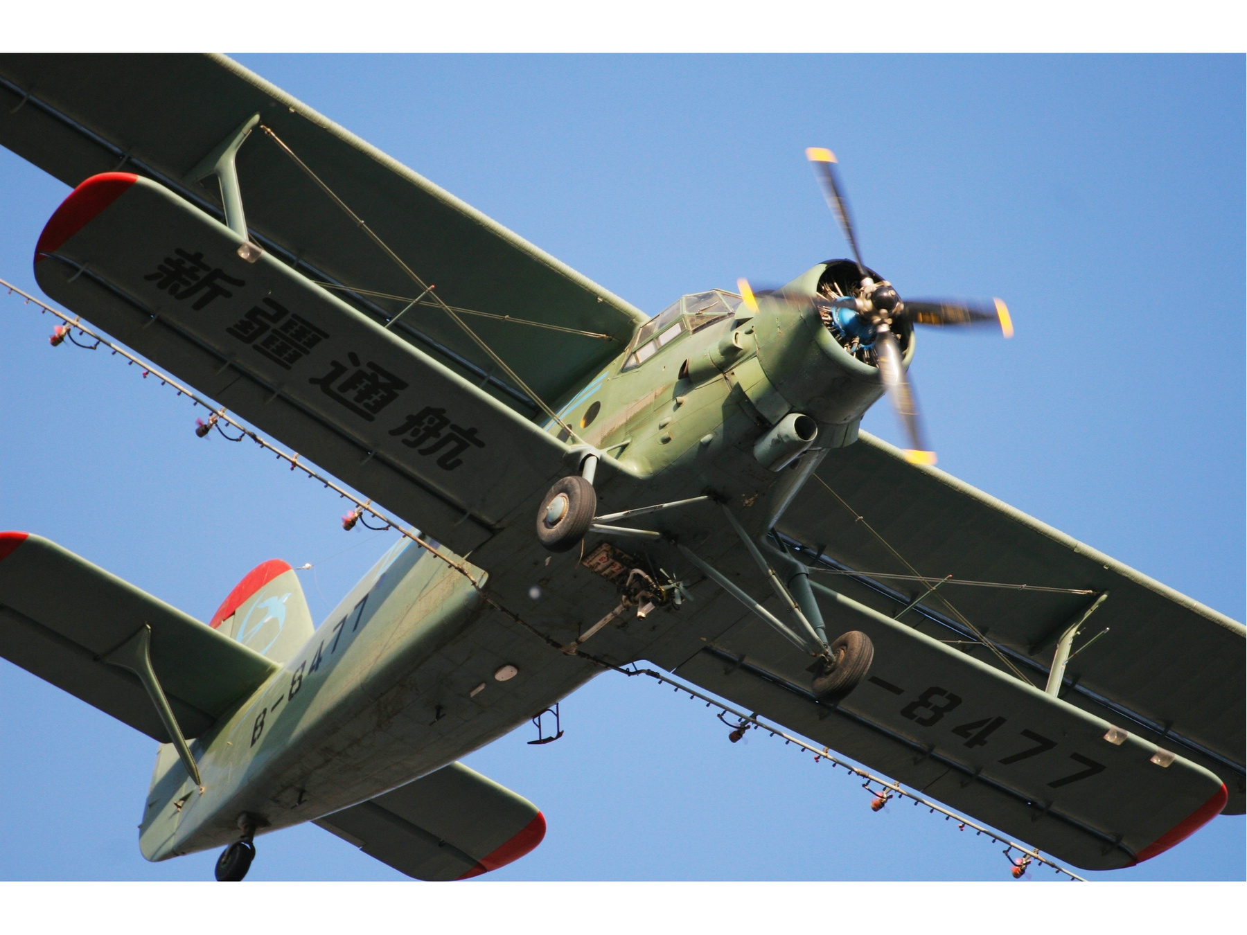 中国运-5运输机