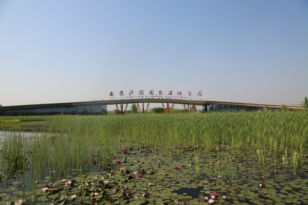  p>陕西西安浐灞国家湿地公园是国家aaaa级旅游景区,位于陕西省西安市