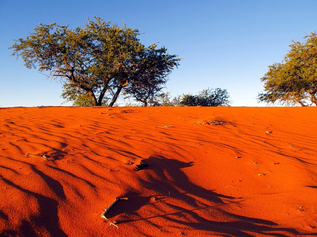 kalahari desert