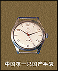 海鸥表