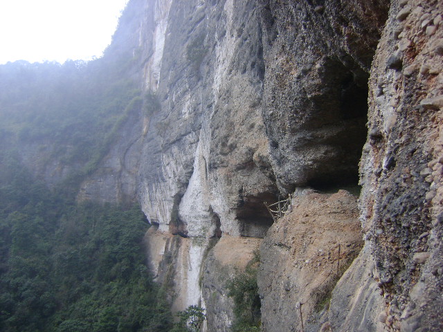  p data-id="gnx5cc492y">灵鹫山为四川省级风景名胜区,景区原始森林