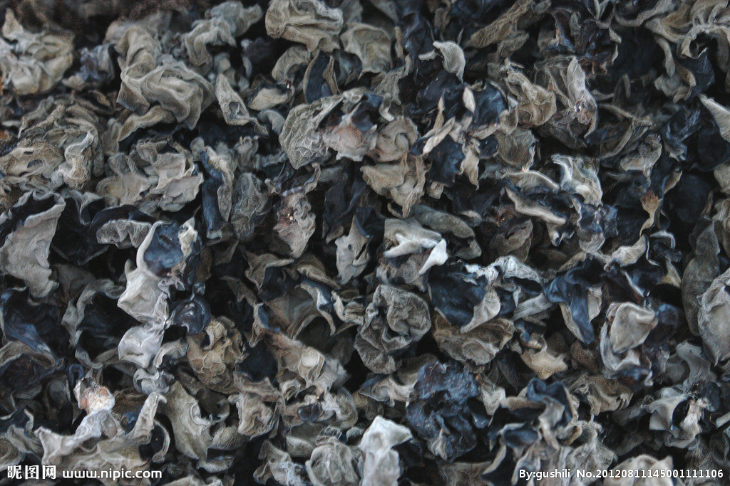  p>木耳,又叫云耳,桑耳,是我国重要的食用菌,有广泛的自然分布和人工