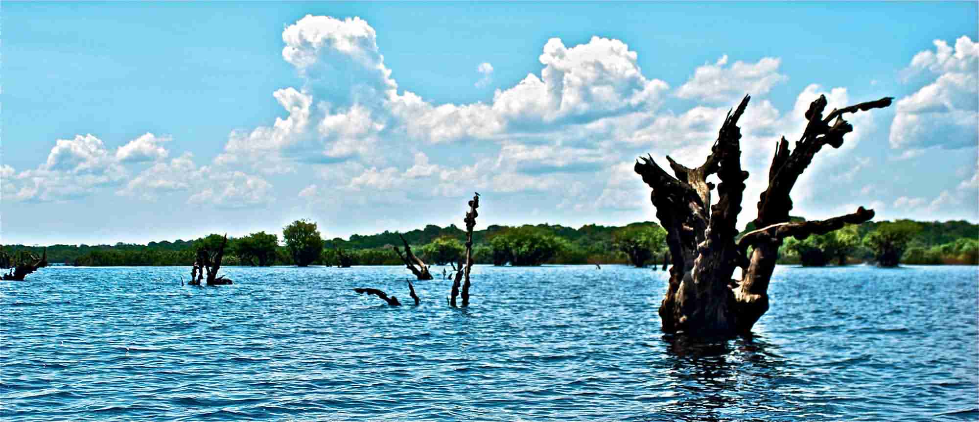  p> b>亚马孙河 /b>(英语: b>amazon river /b>;葡萄牙语: b>rio