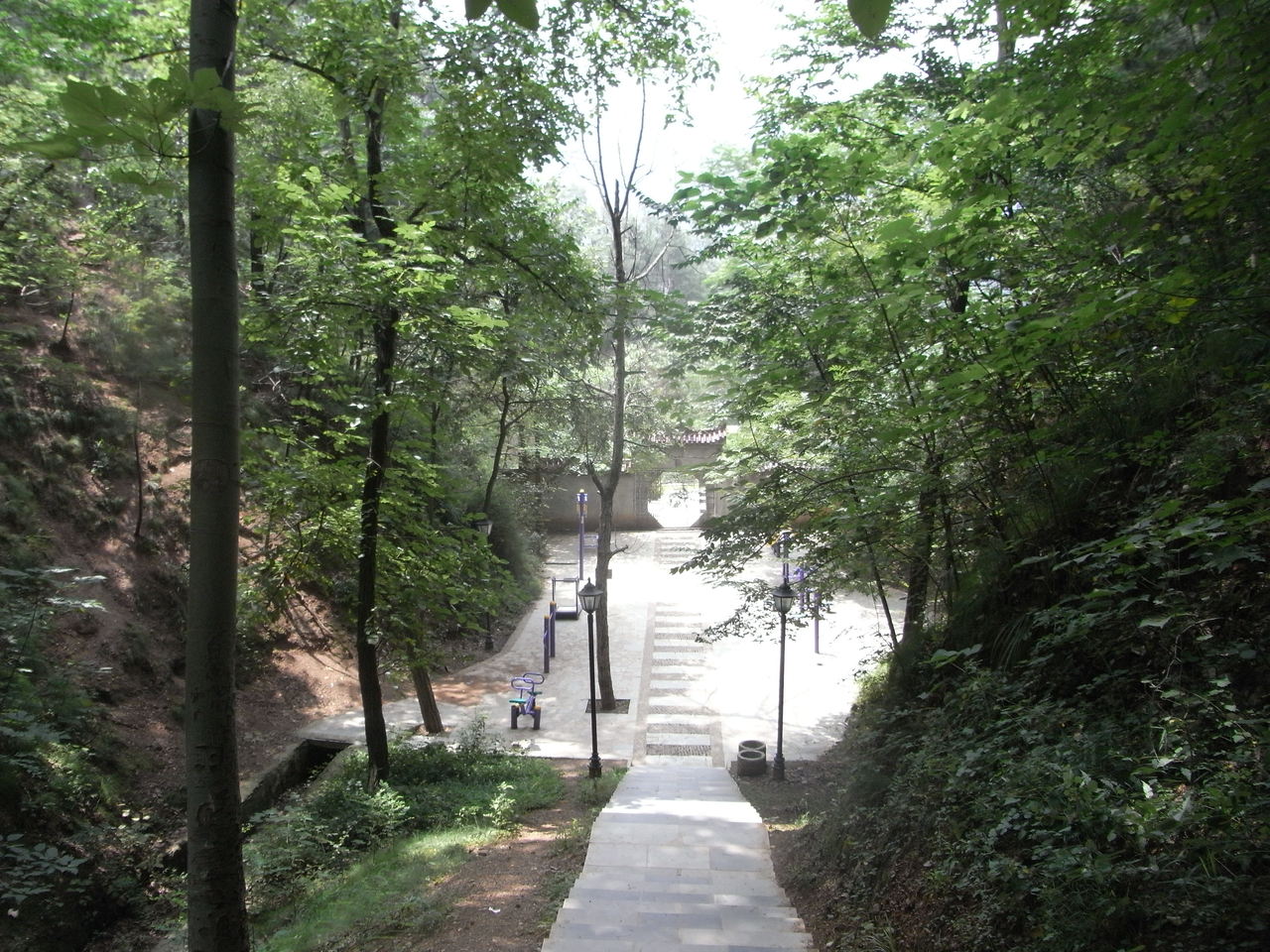 山阳苍龙山森林公园