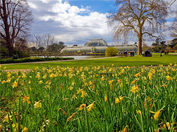  p>英国皇家 a target="_blank" href="/item/植物园/5889" data