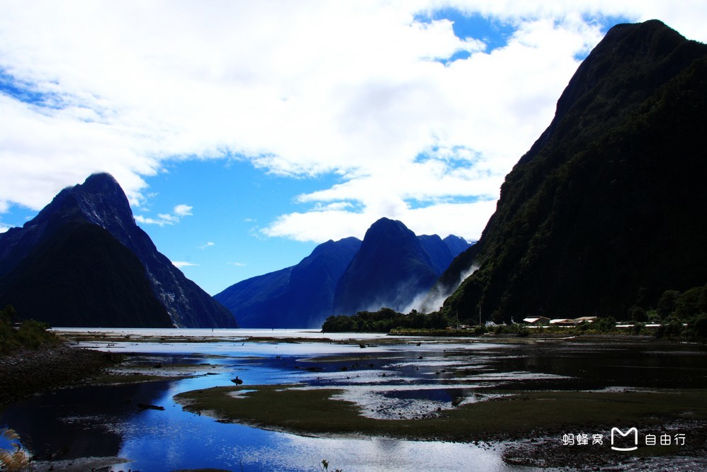 毛利语:piopiotahi),在毛利语的意思为"第一只野生画眉"(first native