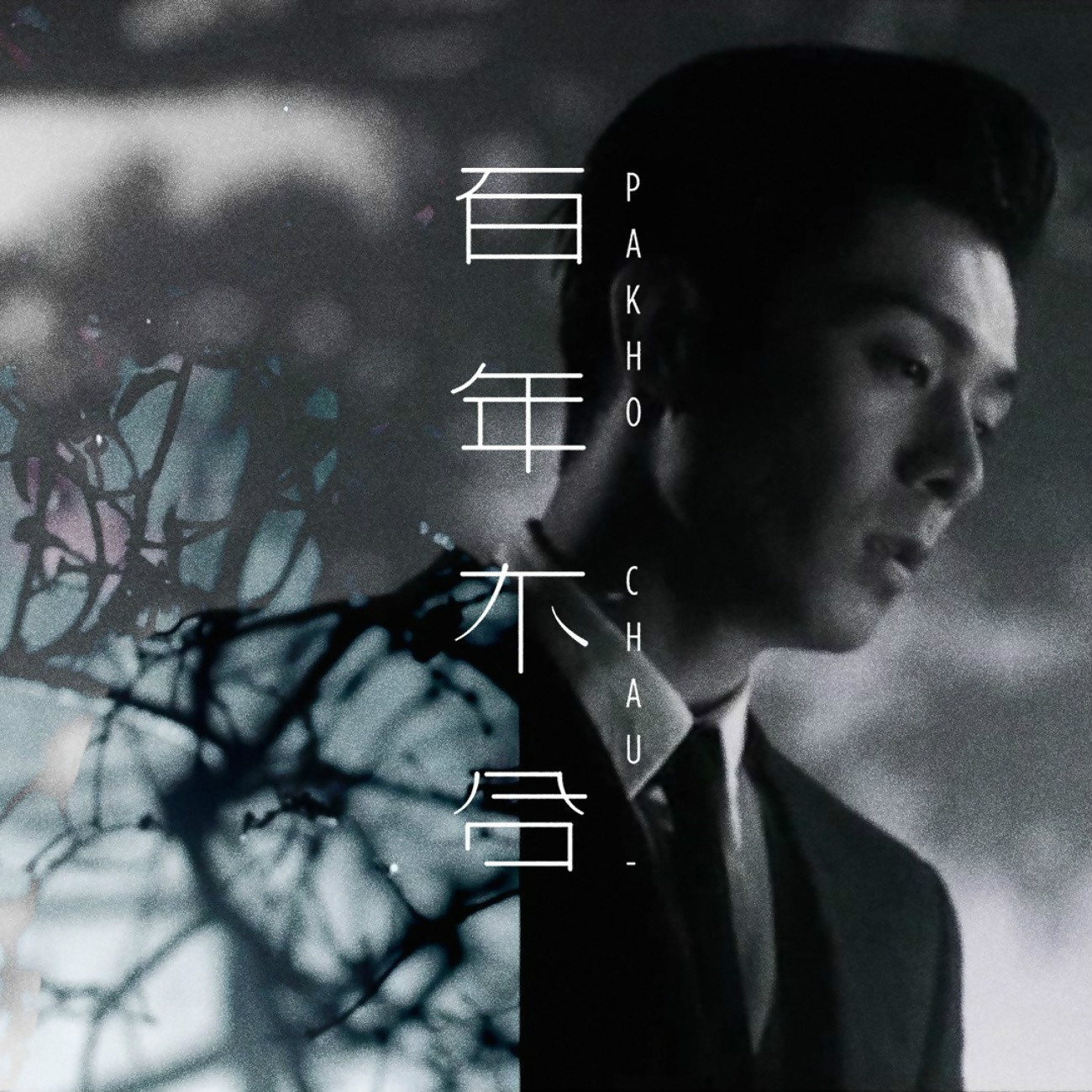  p>歌曲《百年不合》收录于香港歌手 a target="