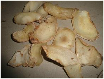  p data-id="gnbj8gfkpl">制天南星,中药名.为为天南星的炮制加工品.