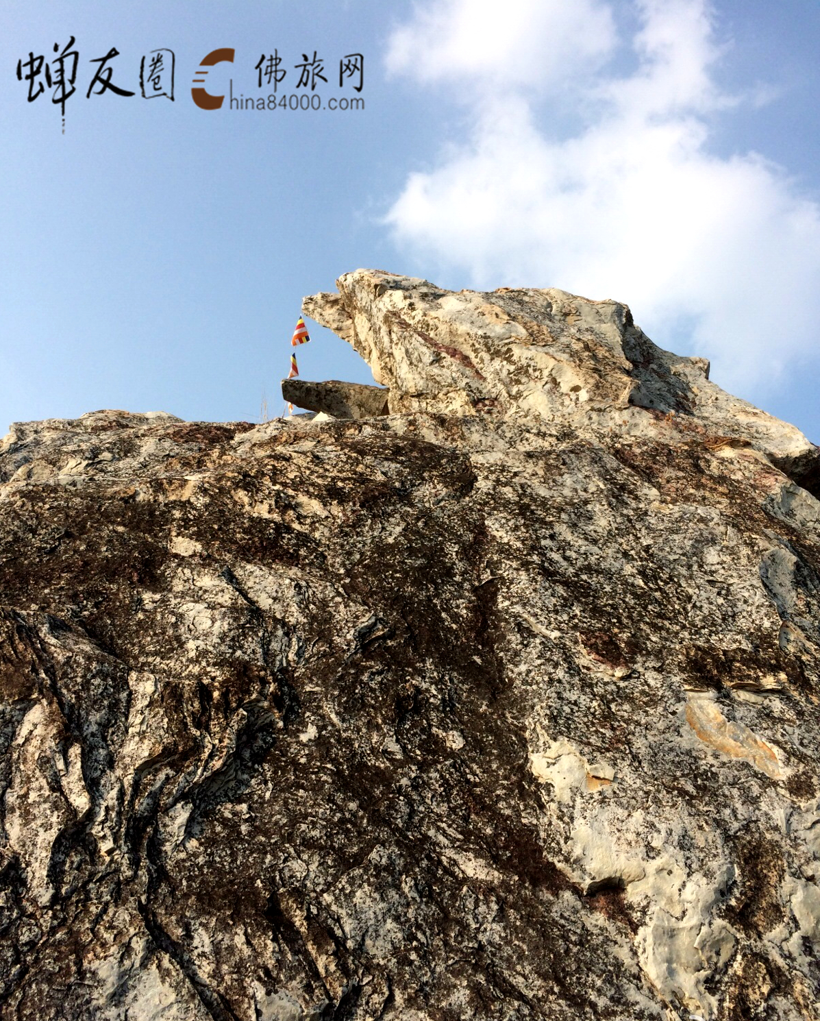 中印度摩羯陀国首都 a target="_blank" href="/item/王舍城/5009235"