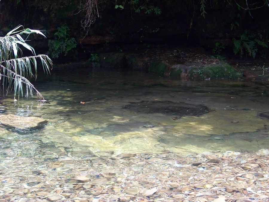 紫荆河