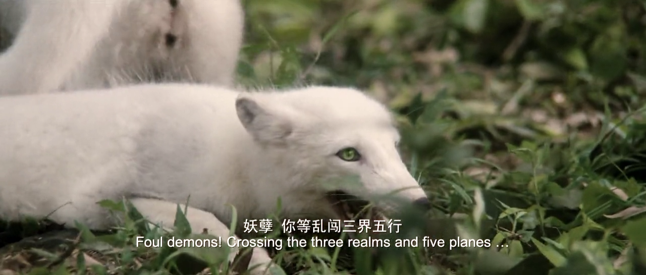 the sorcerer and the white snake