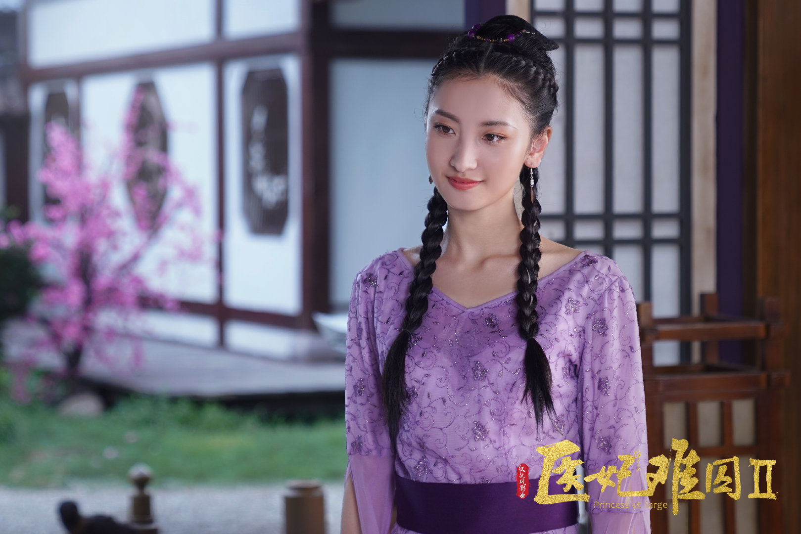 医妃难囚第二季