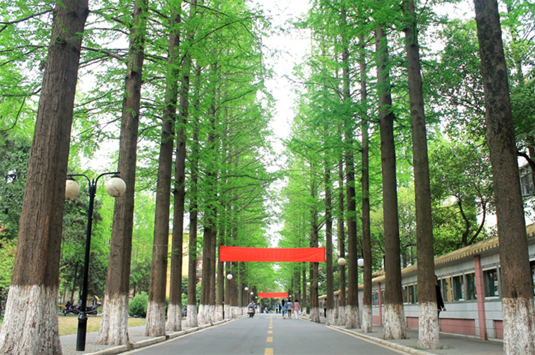 滁州学院