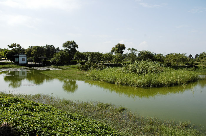  p>基塘生产是我国珠江三角洲地区的劳动人民在长期的农业生产实践中