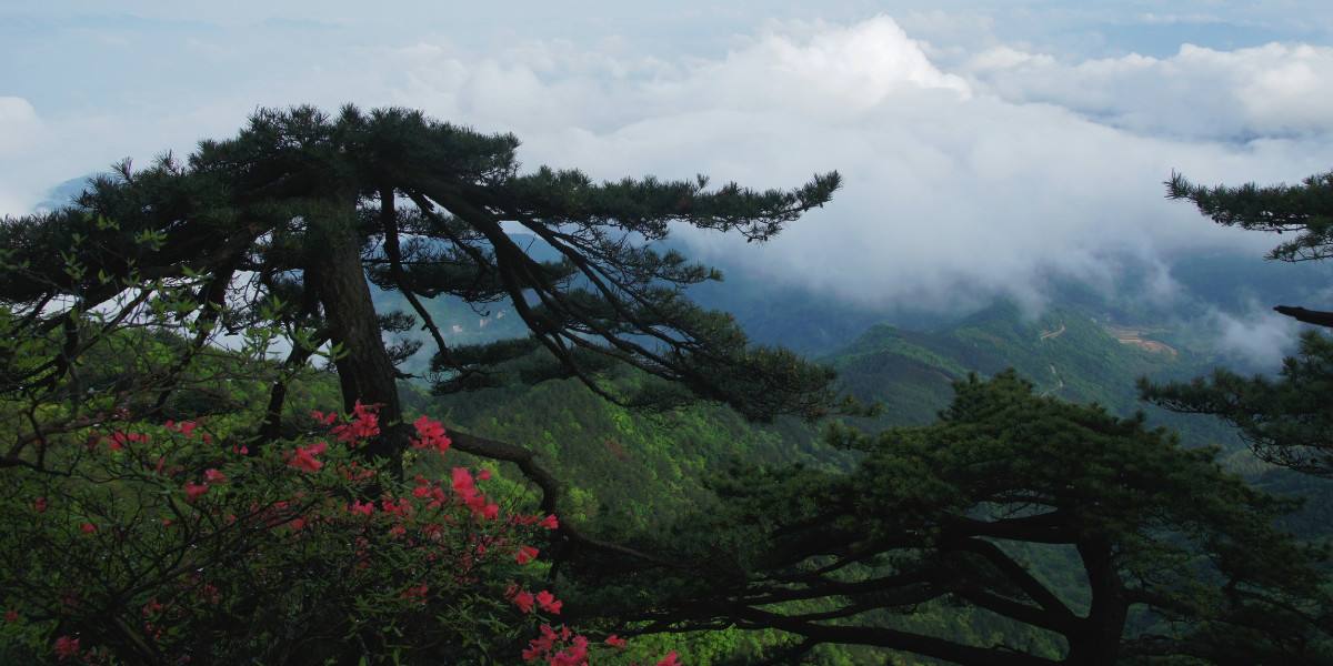 广东大北山国家森林公园