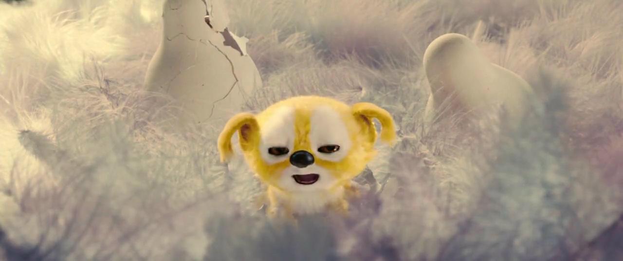 《追踪长尾豹马修》是由法国百代影业公司出品的冒险喜剧片,由 a